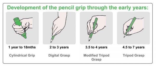 software regret second eyfs pencil grip assessment memories Dismiss Brown